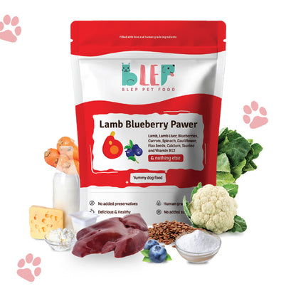 Monthly Pack of Lamb Blueberry Fresh Dog Food