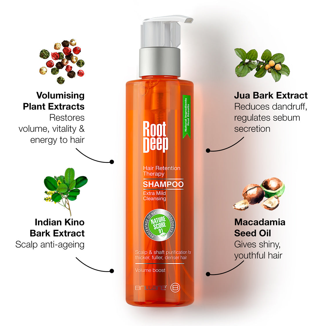 Root Deep Scalp Shampoo For Preventing Hair Loss