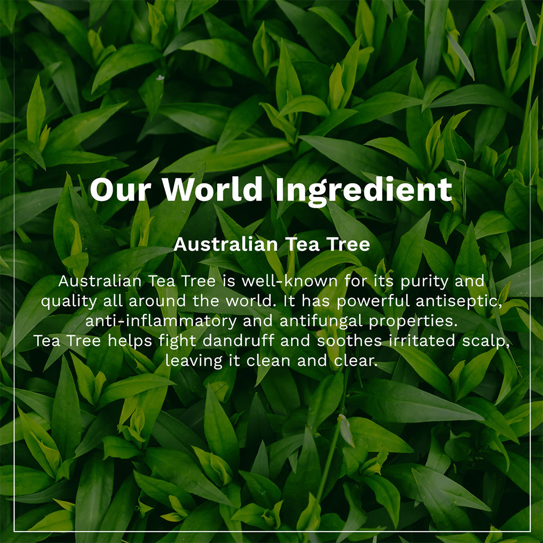 Australian Tea Tree  Anti-Dandruff Scalp Serum